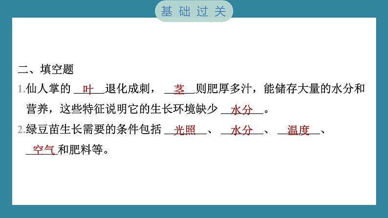 1.3 绿豆苗的生长（习题课件）-2023-2024学年科学五年级下册教科版第5页