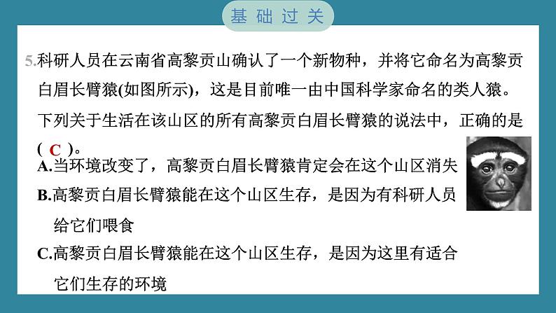 1.5 当环境改变了（习题课件）-2023-2024学年科学五年级下册教科版06