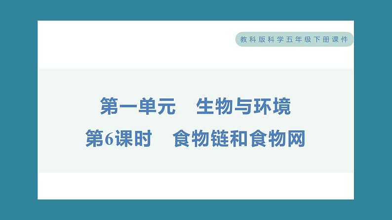 1.6 食物链和食物网（习题课件）-2023-2024学年科学五年级下册教科版01