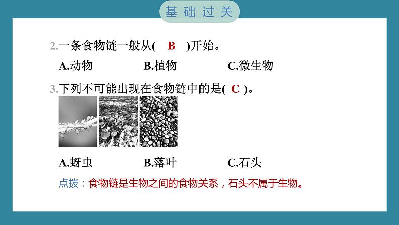 1.6 食物链和食物网（习题课件）-2023-2024学年科学五年级下册教科版03