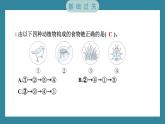 1.6 食物链和食物网（习题课件）-2023-2024学年科学五年级下册教科版