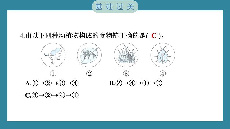 1.6 食物链和食物网（习题课件）-2023-2024学年科学五年级下册教科版04