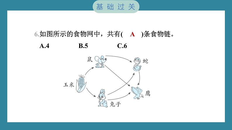 1.6 食物链和食物网（习题课件）-2023-2024学年科学五年级下册教科版06