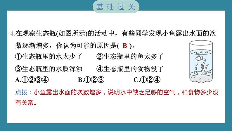 1.7 设计和制作生态瓶（习题课件）-2023-2024学年科学五年级下册教科版第5页