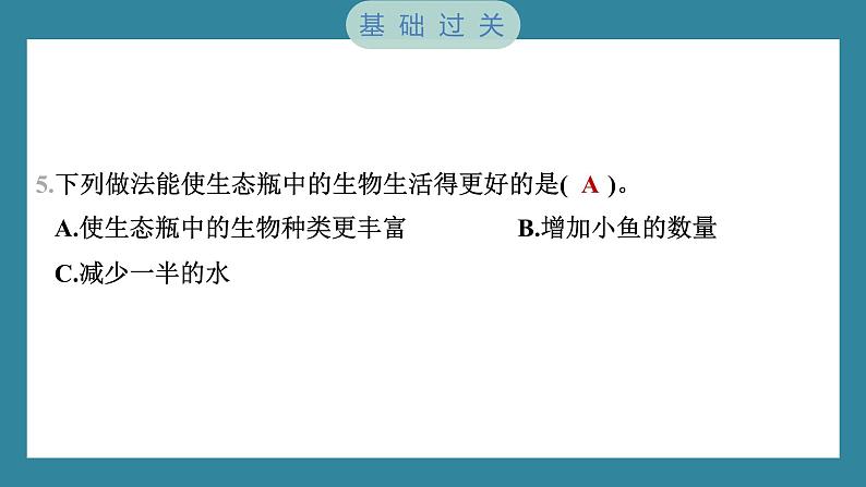 1.7 设计和制作生态瓶（习题课件）-2023-2024学年科学五年级下册教科版第6页