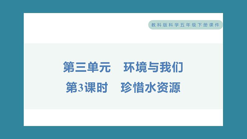 3.3 珍惜水资源（习题课件）-2023-2024学年科学五年级下册教科版01