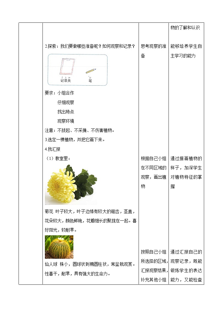 第一单元第六课《校园里的植物》（教案）02