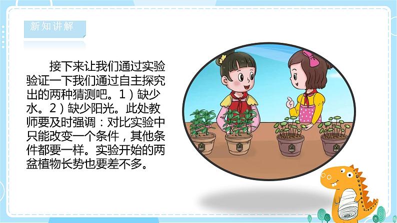 【湘科版】二下科学  2.3 植物生长需要什么 课件+教案+素材08