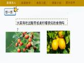 【湘科版】五上科学 1.1人体对刺激的反应 （课件）