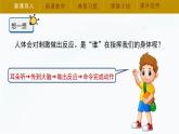 【湘科版】五上科学 1.2人体指挥部——脑（课件）