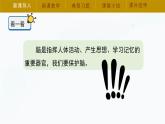 【湘科版】五上科学 1.3 保护我们的脑（课件）