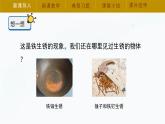 【湘科版】五上科学 4.3 生锈（课件）