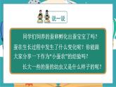 教科版科学三年级下册第3课 蚕长大了课件
