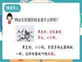 教科版科学三年级下册第3课 蚕长大了课件