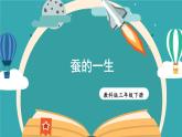 教科版科学三年级下册第6课 蚕的一生课件