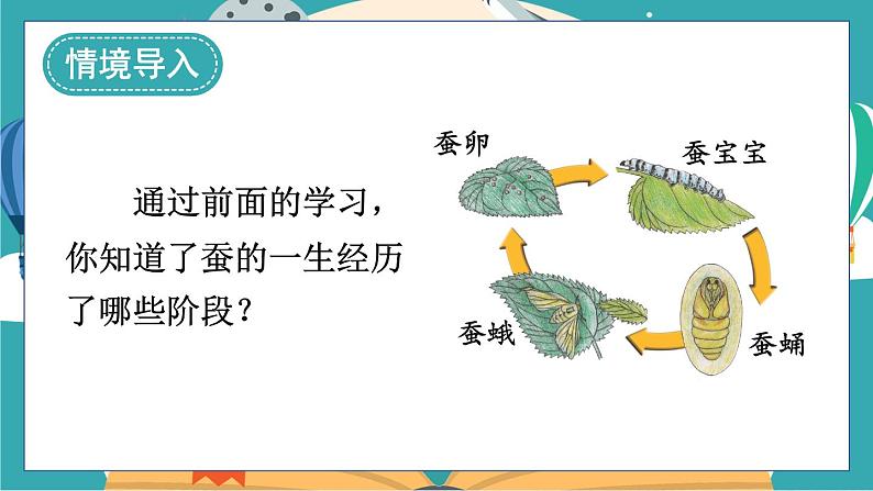 教科版科学三年级下册第8课 动物的一生课件02