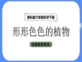 教科版六年级下册科学2.3《形形色色的植物》课件