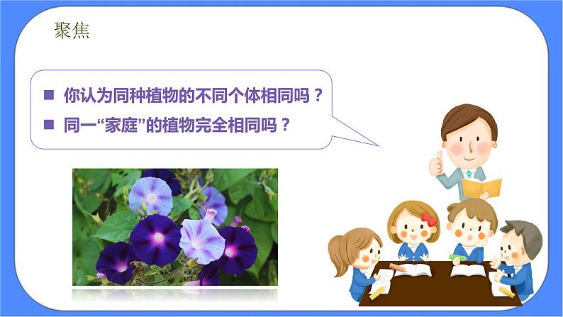 教科版六年级下册科学2.3《形形色色的植物》课件03