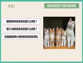 教科版六年级下册科学2.4《多种多样的动物》课件