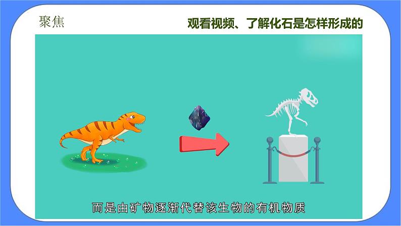 教科版六年级下册科学2.6《古代生物的多样性》课件04