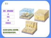 教科版六年级下册科学2.6《古代生物的多样性》课件