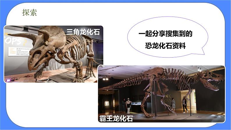 教科版六年级下册科学2.6《古代生物的多样性》课件06