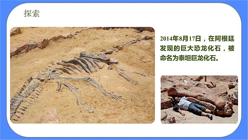 教科版六年级下册科学2.6《古代生物的多样性》课件08