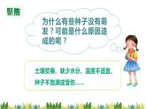 教科版科学四年级下册1.3《种子长出了根》课件
