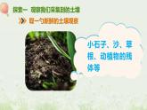 教科版科学四年级下册3.6《观察土壤》课件