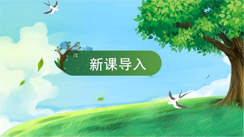 【湘科版】四上科学  3.1 光与影 课件03