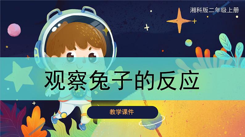 【湘科版】二上科学 2.1 观察兔子的反应（课件）01