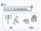 【湘科版】三上科学  2.1 昆虫（课件）