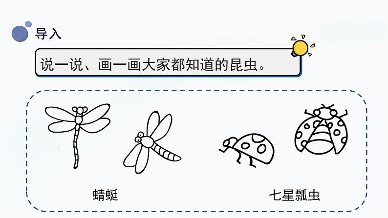 【湘科版】三上科学  2.1 昆虫（课件）05