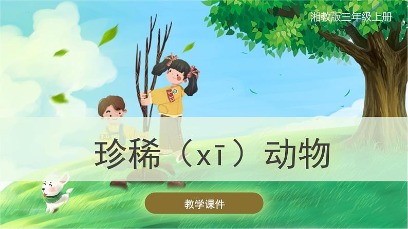 【湘科版】三上科学  2.5 珍稀动物（课件）01