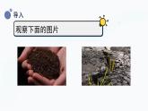 【湘科版】三上科学  3.3土壤的种类 （课件）