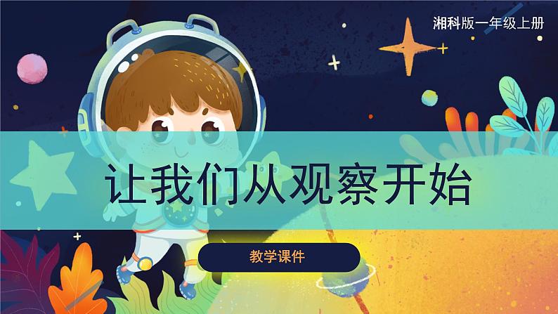 【湘科版】一上科学 1.1让我们从观察开始（课件）01