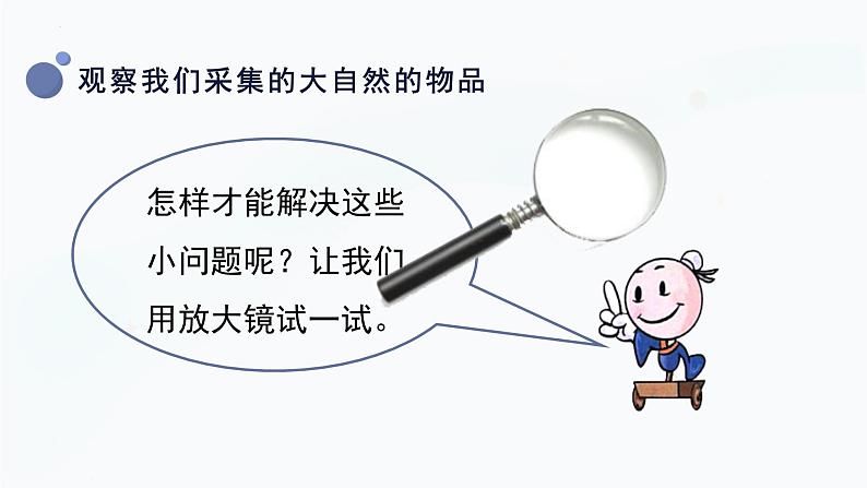 【湘科版】一上科学 2.3 大自然中的发现（课件）08