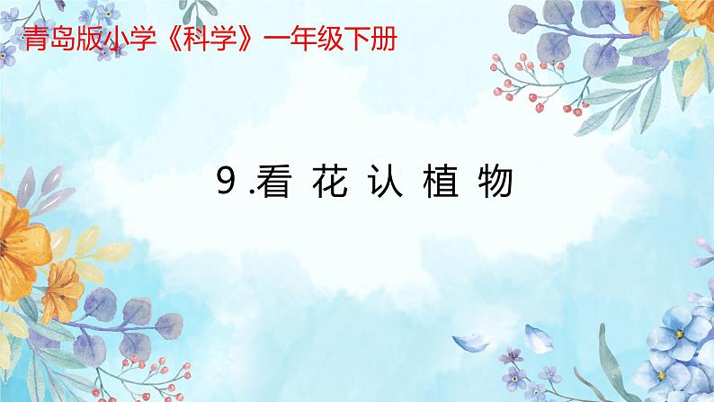 第9课《看花认植物》课件+教案+练习01