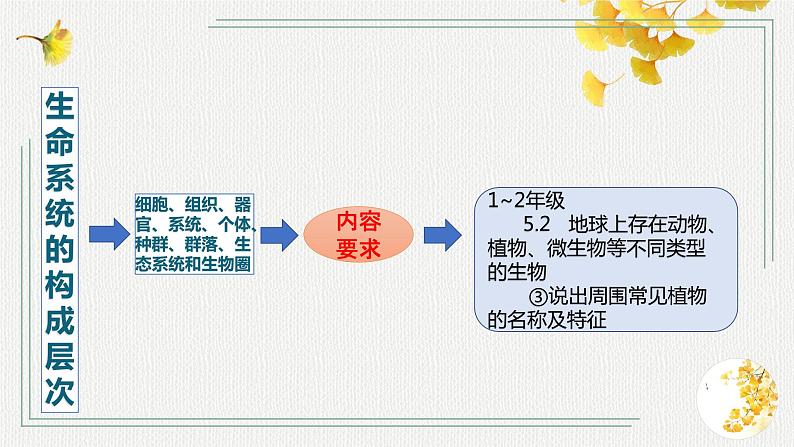 第10课《看叶认植物》课件+教案+练习04