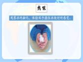 蘇教版科學(xué)六年級下冊 第2課 各種各樣的能量 同步課件+同步教案