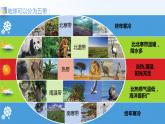 蘇教版科學六年級下冊 第5課 多樣的棲息地 同步課件+同步教案