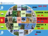 蘇教版科學六年級下冊 第5課 多樣的棲息地 同步課件+同步教案