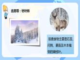蘇教版科學六年級下冊 第5課 多樣的棲息地 同步課件+同步教案