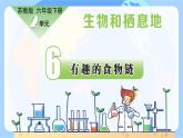 蘇教版科學(xué)六年級下冊 第6課 有趣的食物鏈 同步課件+同步教案