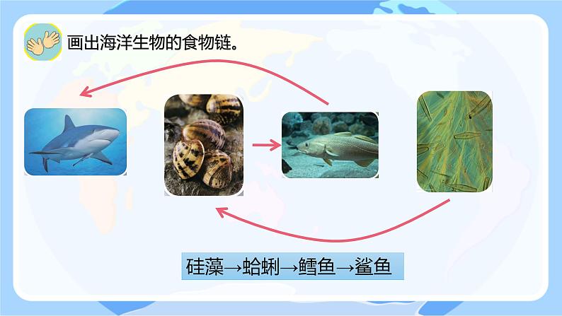 苏教版科学六年级下册 第6课 有趣的食物链 同步课件第3页