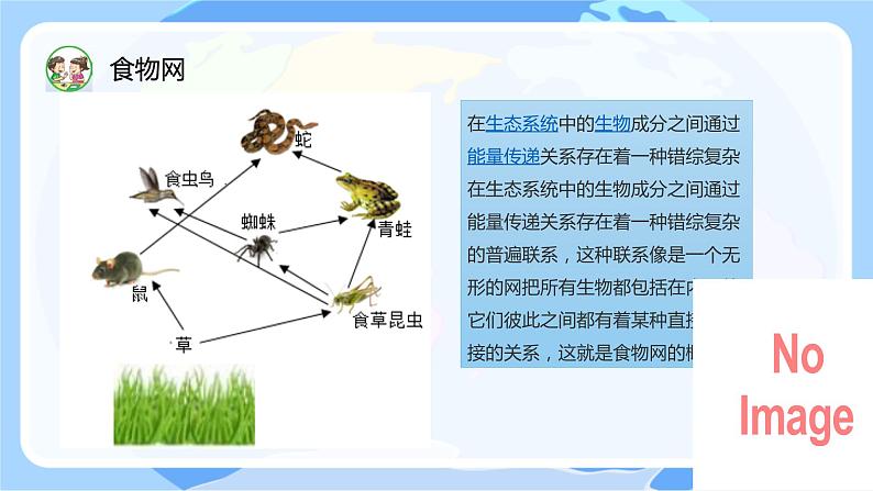 苏教版科学六年级下册 第6课 有趣的食物链 同步课件第5页