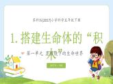 蘇教版科學(xué)五年級(jí)下冊(cè) 第1課 搭建生命的“積木”  同步課件+同步教案