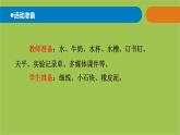 第15課 固體、液體的體積和質(zhì)量 課件 三年級科學(xué)上冊 青島六三制