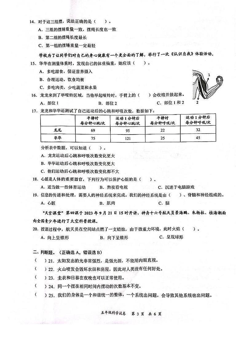 广东省深圳龙华区2023-2024五年级上册科学期末试卷03