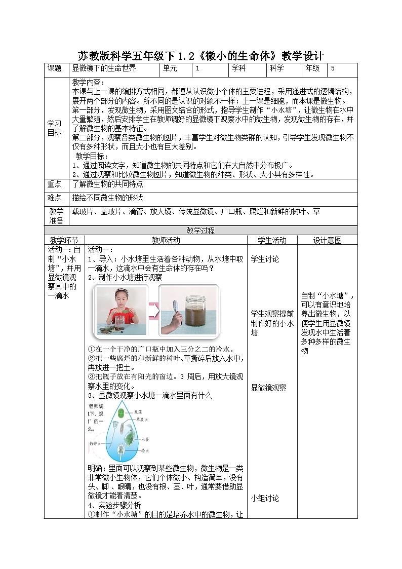 1.2微小的生命体（教案）第1页
